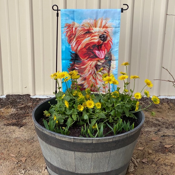 🐾 RIP Baby 🌈💔 🐾 - Picture 2 of 9